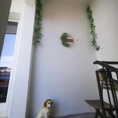 Il Vialetto